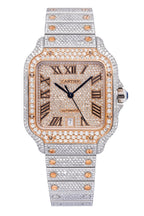 CARTIER SANTOS WSSA0037