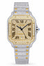 CARTIER SANTOS WSSA0029