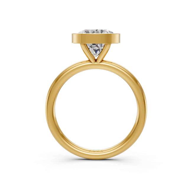 Nova Main Image