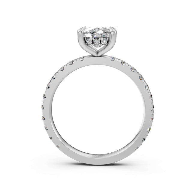 Celeste Main Image