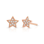 Star Studded Diamond Earring