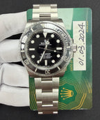 ROLEX SUBMARINER NO DATE 124060